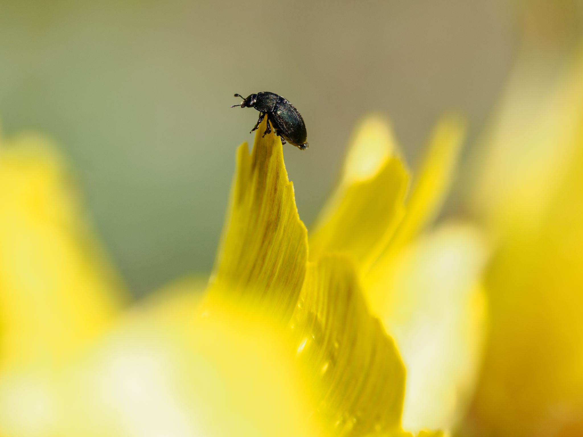 107 260416 1551 H  2HR0928 DxO DeepPRIME 3